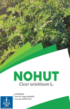 NOHUT Cicer arietinum L